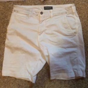 AE flat front shorts (9inch)